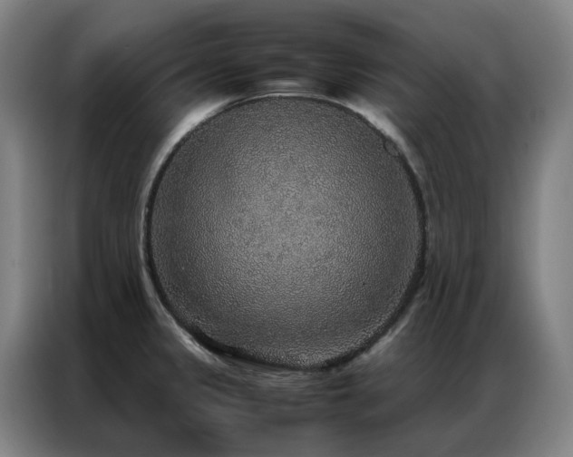 X0000087331333200704201121