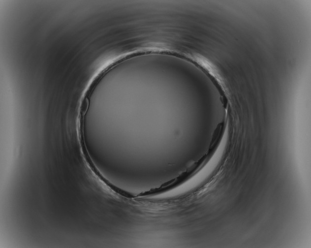 X0000087331334200704201121