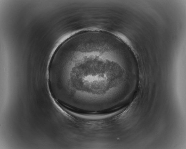 X0000087331335200704201121