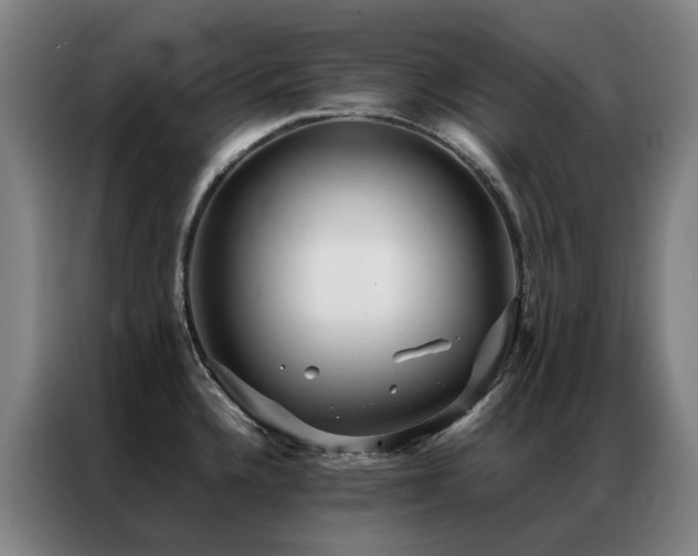 X0000087331336200704201121