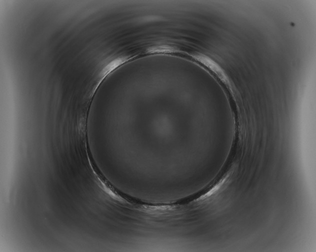 X0000087331337200704201121