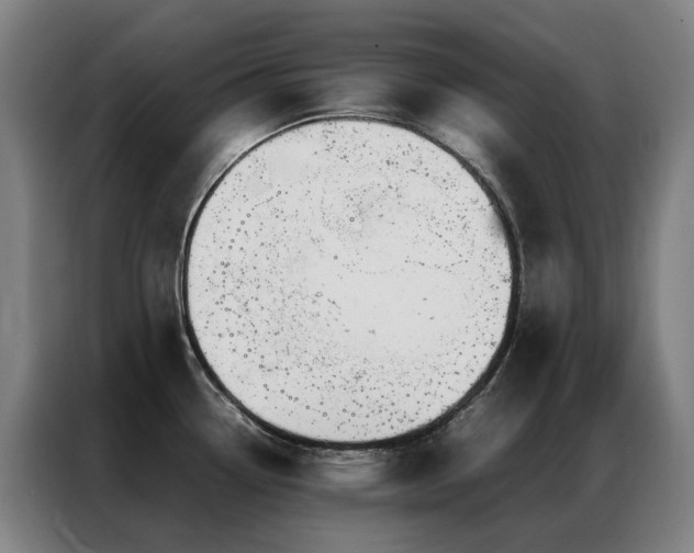X0000087331338200704201121