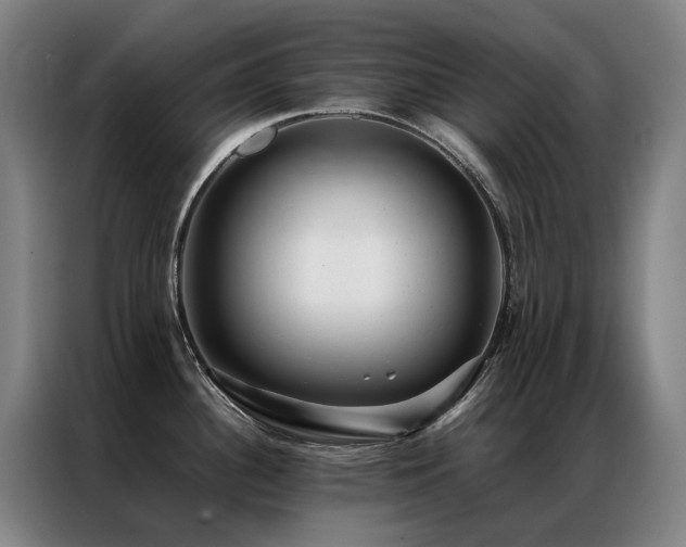 X0000087331340200704201121