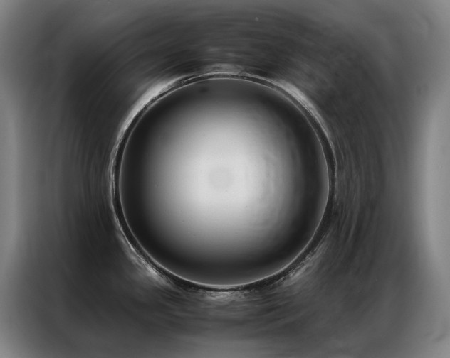X0000087331341200704201121