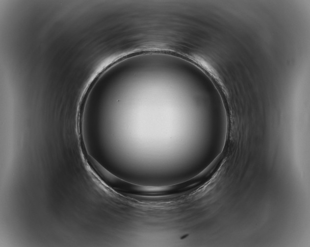 X0000087331342200704201121