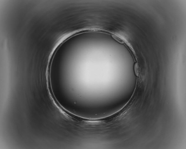 X0000087331343200704201121