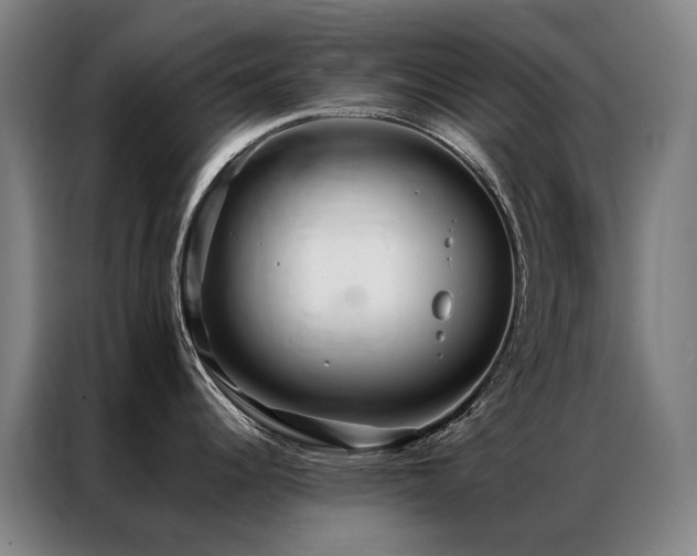 X0000087331344200704201121