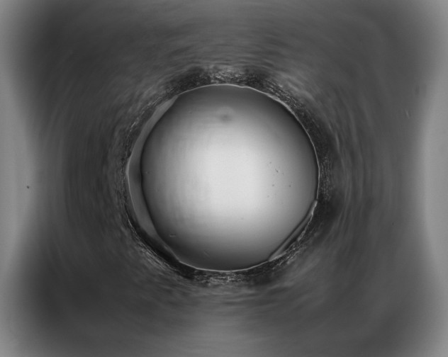 X0000087331345200704201121