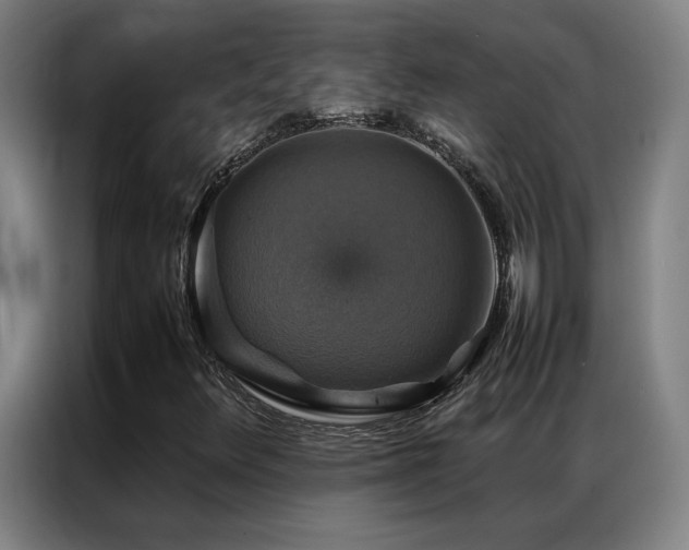 X0000087331348200704201121