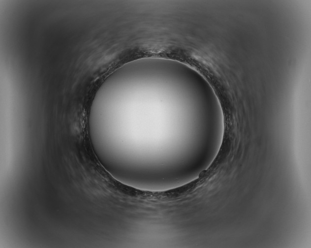X0000087331349200704201121