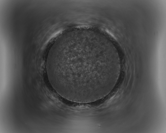 X0000087331351200704201120