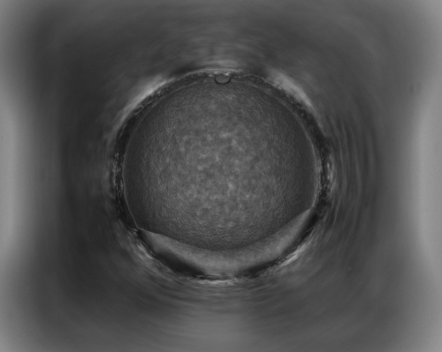 X0000087331352200704201120