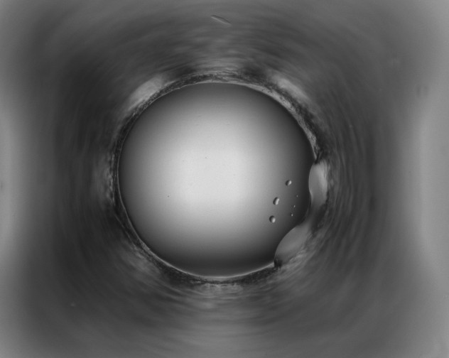 X0000087331354200704201120