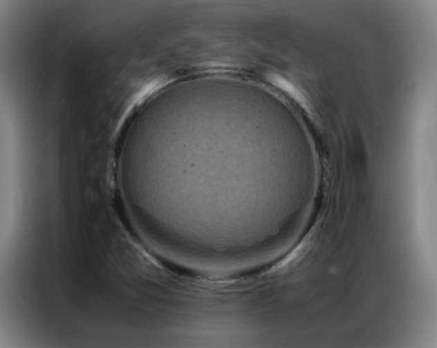 X0000087331357200704201120