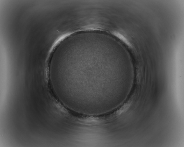 X0000087331358200704201120