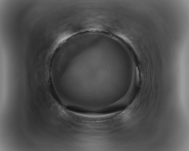 X0000087331359200704201120