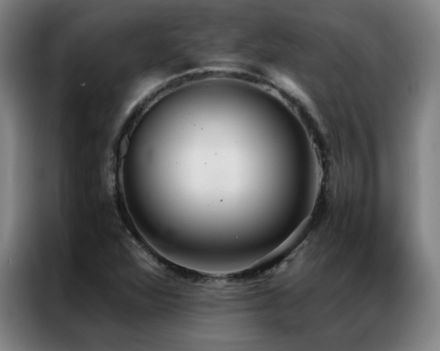 X0000087331360200704201120