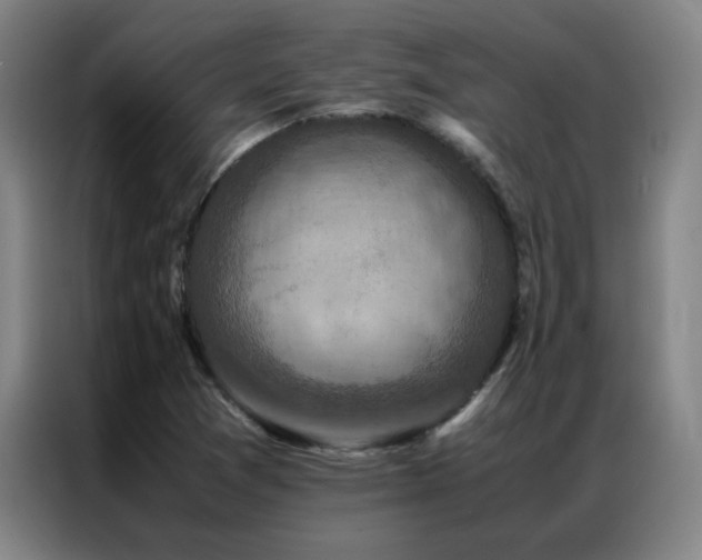 X0000087331361200704201120