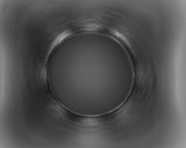 X0000087331362200704201120