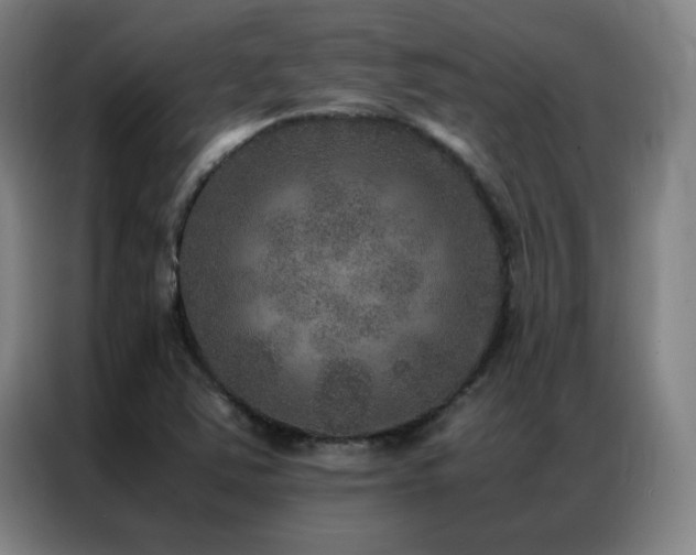 X0000087331363200704201120