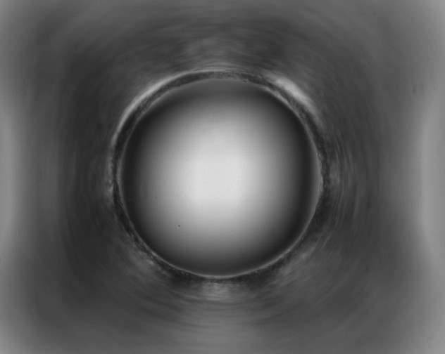 X0000087331364200704201120