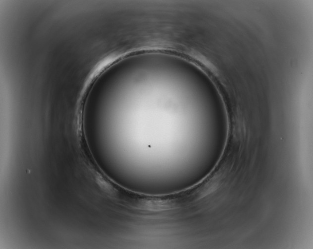 X0000087331366200704201120