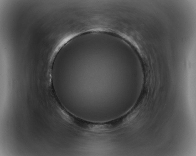 X0000087331367200704201120