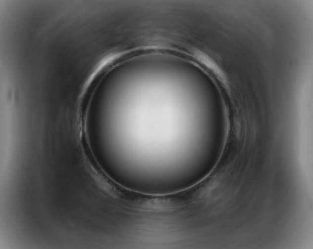 X0000087331368200704201120