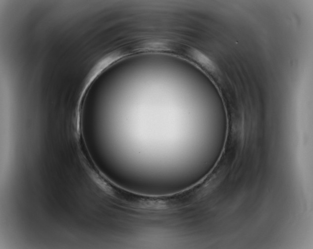 X0000087331370200704201120