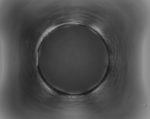 X0000087331371200704201120