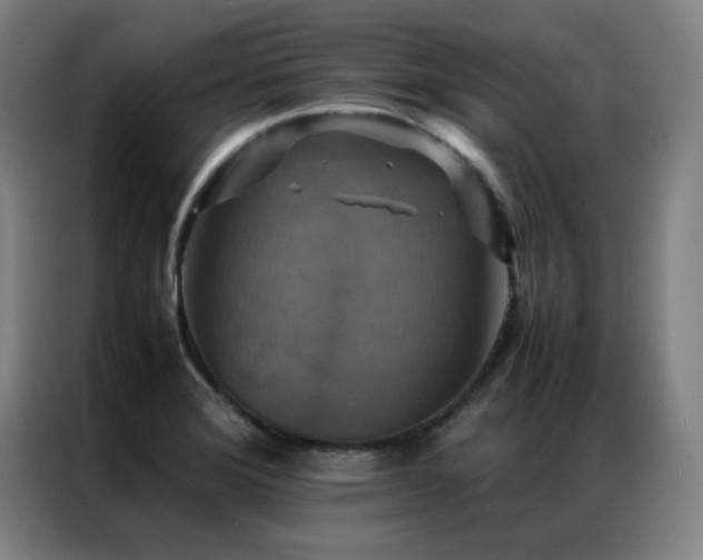 X0000087331372200704201120