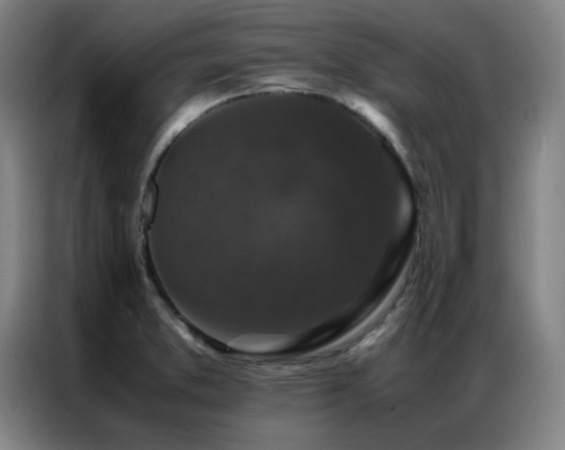 X0000087331373200704201120