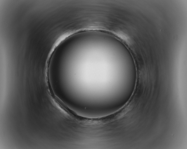 X0000087331374200704201120