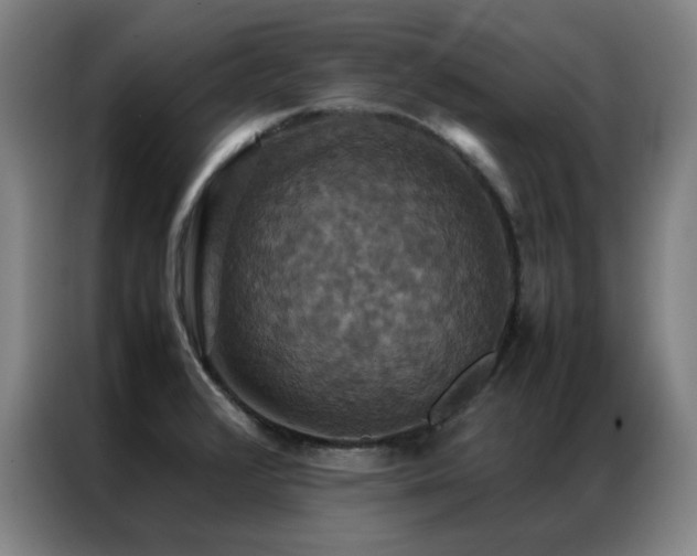 X0000087331376200704201120