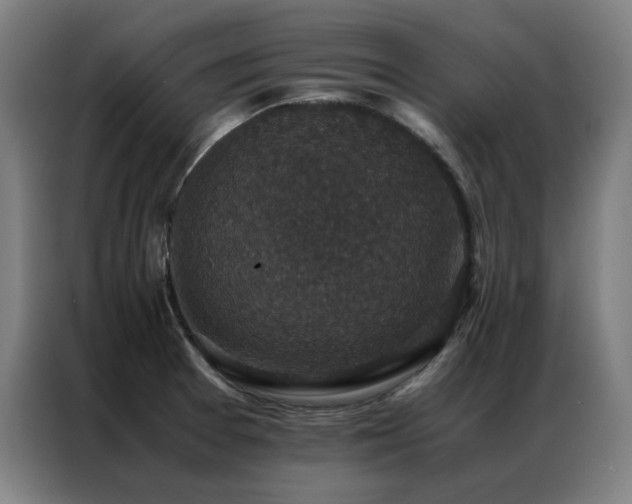 X0000087331377200704201120