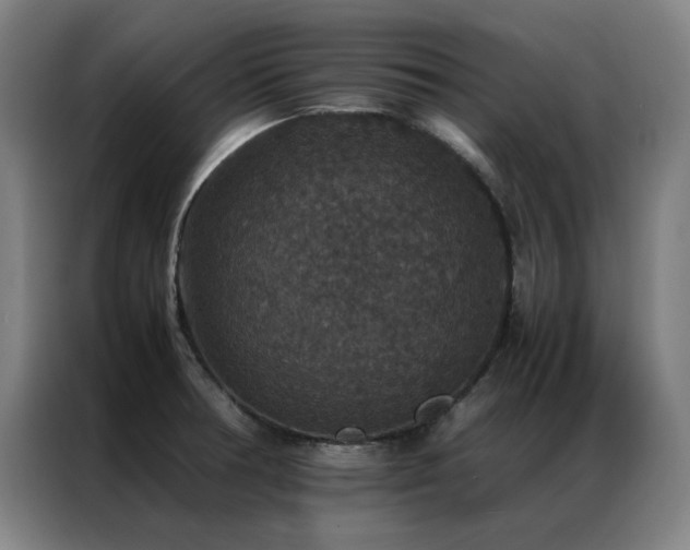X0000087331378200704201120