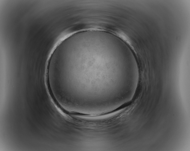 X0000087331379200704201120