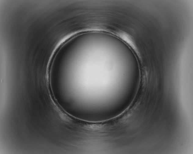 X0000087331380200704201120