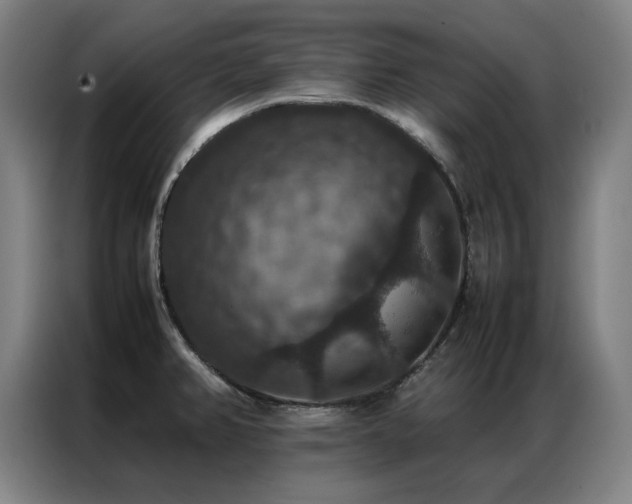 X0000087331382200704201120