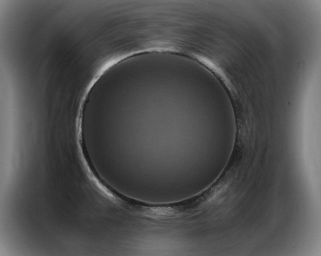 X0000087331383200704201120