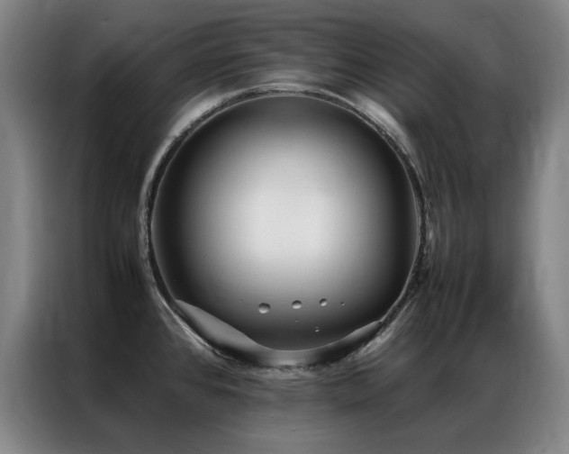 X0000087331384200704201120