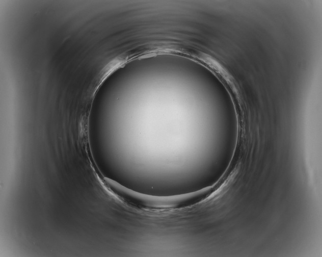 X0000087331385200704201120