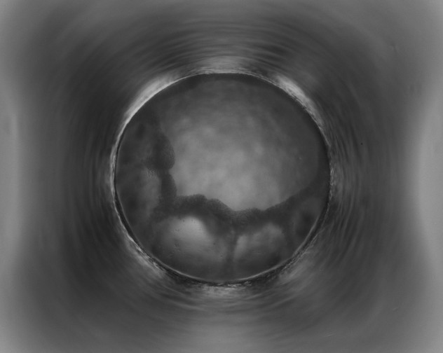 X0000087331386200704201120