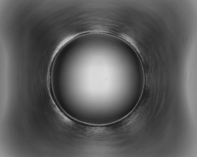 X0000087331387200704201120
