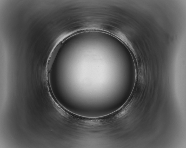 X0000087331388200704201120