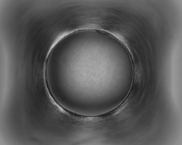 X0000087331390200704201120