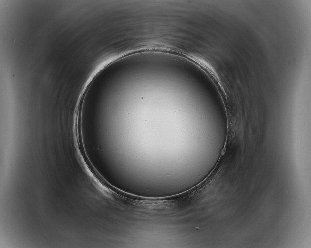 X0000087331391200704201120