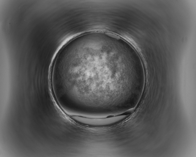 X0000087331392200704201120