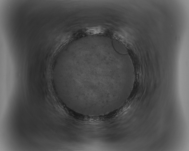 X0000087331393200704201119