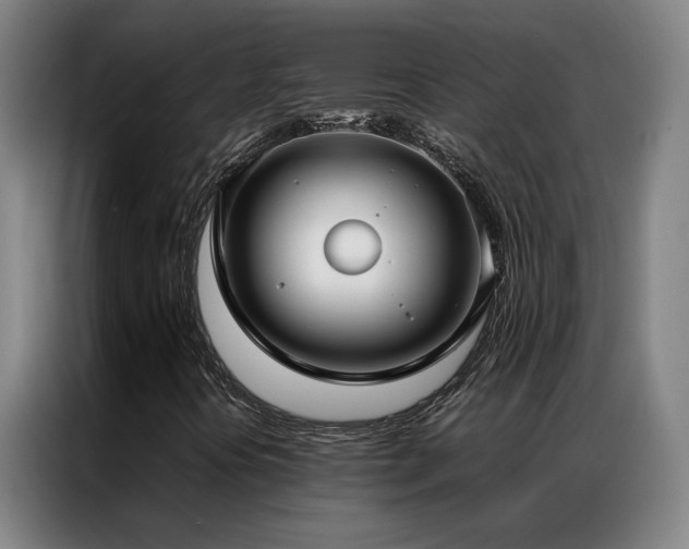 X0000087331394200704201119
